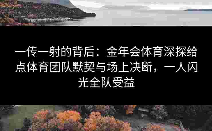 一传一射的背后：金年会体育深探给点体育团队默契与场上决断，一人闪光全队受益