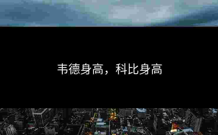 韦德身高，科比身高