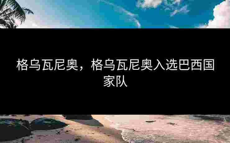 格乌瓦尼奥，格乌瓦尼奥入选巴西国家队