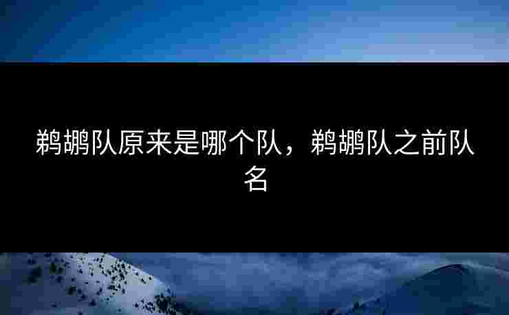 鹈鹕队原来是哪个队，鹈鹕队之前队名