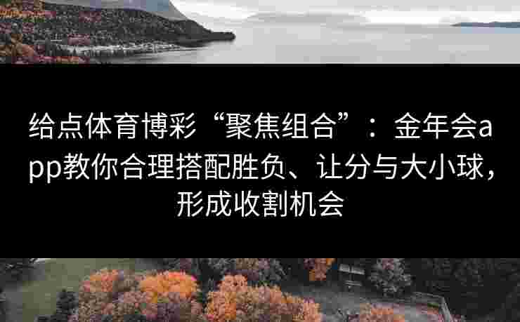 给点体育博彩“聚焦组合”：金年会app教你合理搭配胜负、让分与大小球，形成收割机会