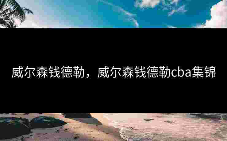 威尔森钱德勒，威尔森钱德勒cba集锦