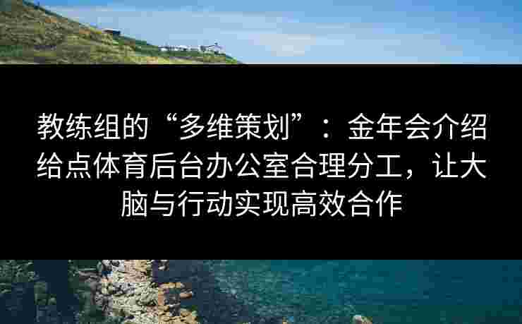 教练组的“多维策划”：金年会介绍给点体育后台办公室合理分工，让大脑与行动实现高效合作